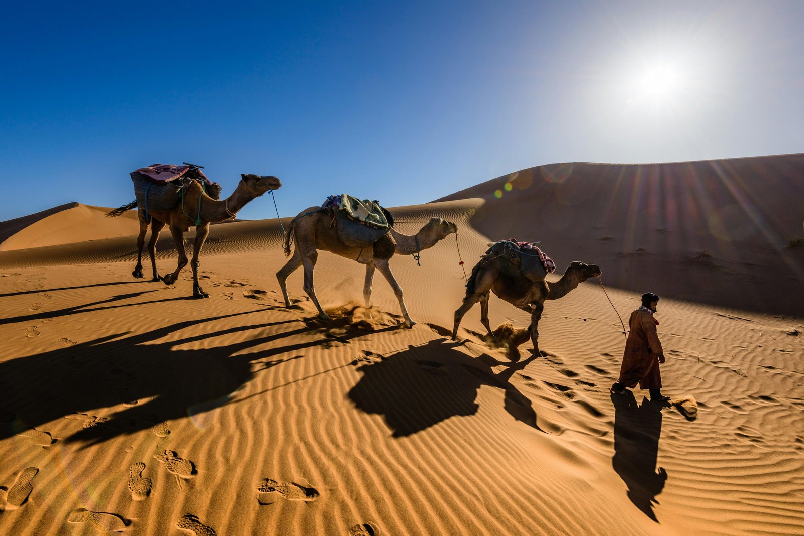 Desert Delight Rajasthan Tour