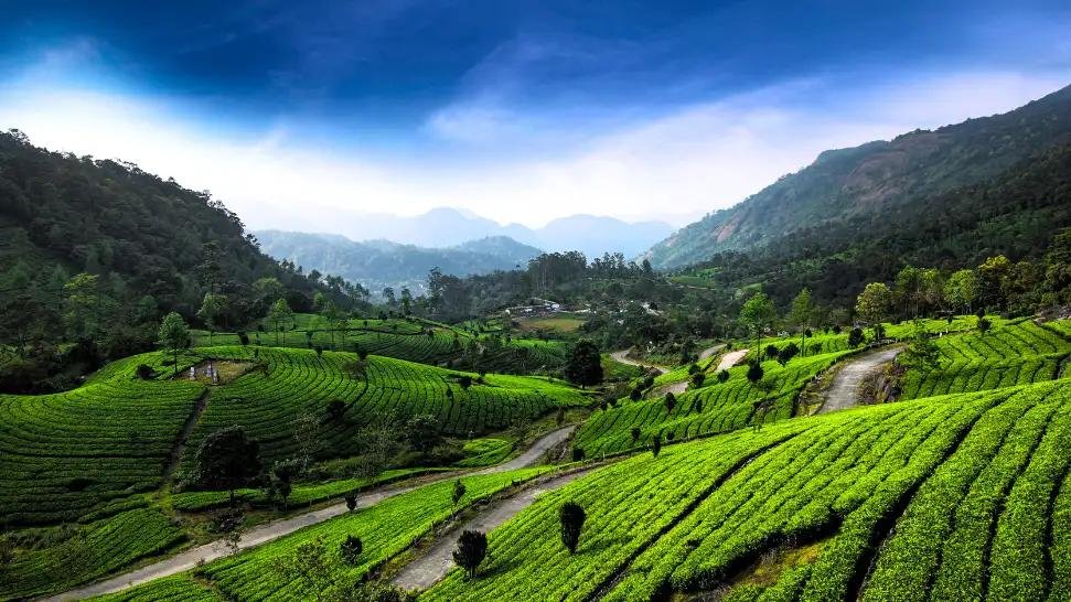 Enriching Kochi Munnar Tour Package