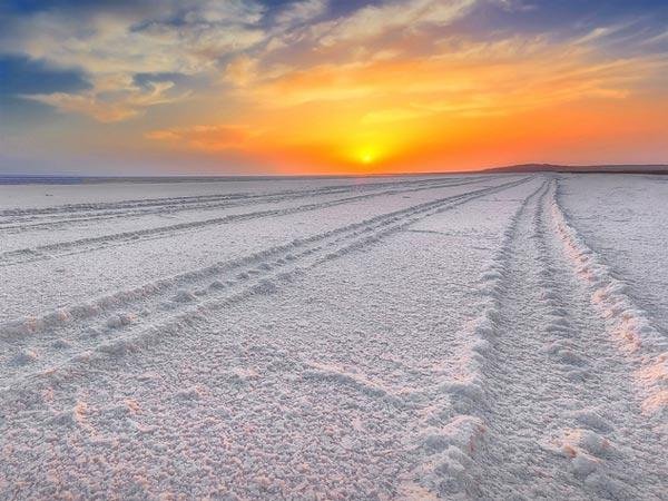 Gleeful Rann Of Kutch Tour