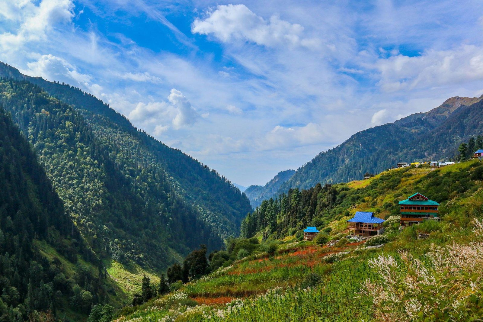 Himachal Tour Packages