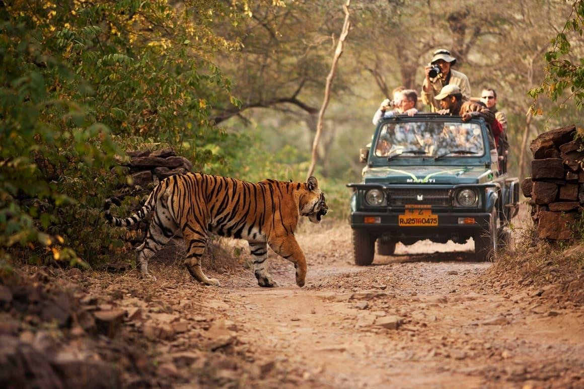 Stimulating Rajasthan Tour Package